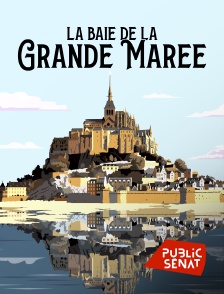 Public Sénat - La baie de la grande marée