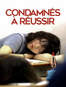 Condamnés à réussir