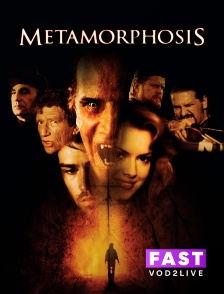 Molotov Channels TEST FAST - Metamorphosis
