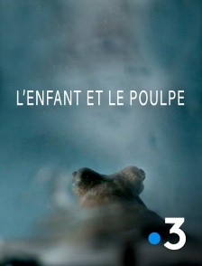 L'enfant et le poulpe