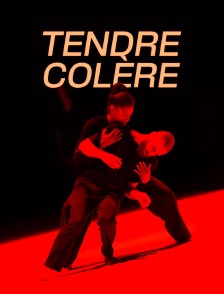 Suresnes cité danses, Tendre colère