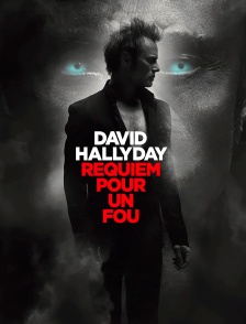 David Hallyday, requiem pour un fou