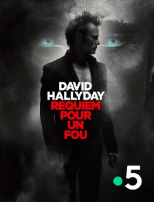France 5 - David Hallyday, requiem pour un fou