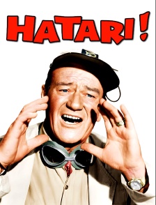 Hatari !