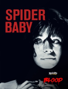 Molotov Channels BLOOD - Spider baby