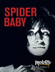Molotov Channels - Spider baby