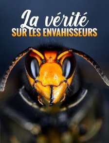 La vérité sur les envahisseurs