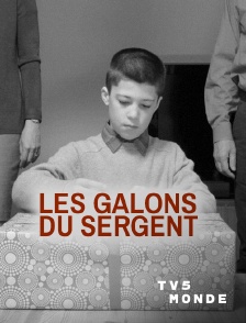 TV5MONDE - Les galons du sergent