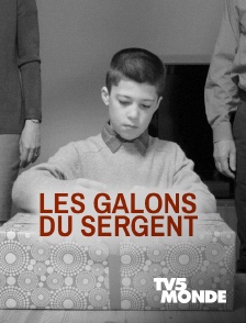 TV5MONDE - Les galons du sergent