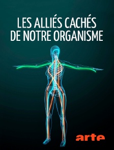 Arte - Les alliés cachés de notre organisme