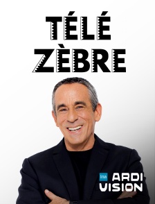 Ardivision - Télé zèbre