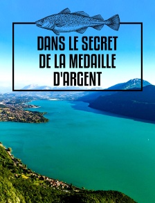 Dans le secret de la médaille d'argent