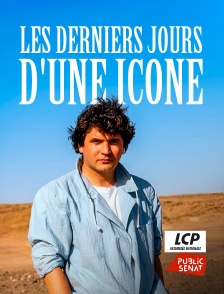 LCP Public Sénat - Les derniers jours d'une icône : Daniel Balavoine