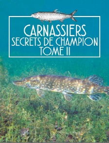 Carnassiers, secrets de champion tome II