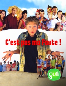 Gulli - C'est pas ma faute