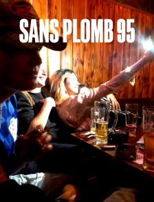 Sans plomb 95