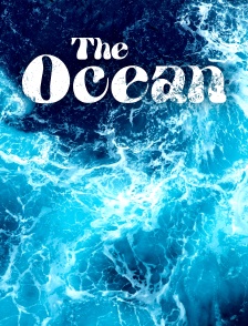 The Ocean