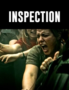 Inspection