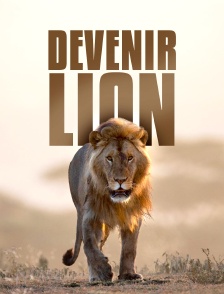 Devenir lion