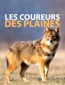 Les coureurs des plaines