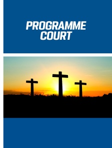 Programme court
