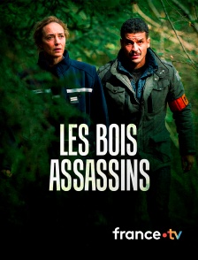 france.tv - Les bois assassins