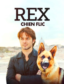 Rex, chien flic