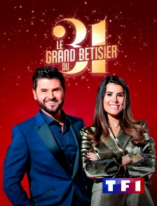 TF1 - Le grand bêtisier