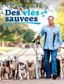 Des vies sauvées