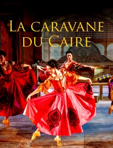 La caravane du Caire
