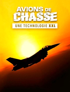 Avions de chasse : une technologie XXL