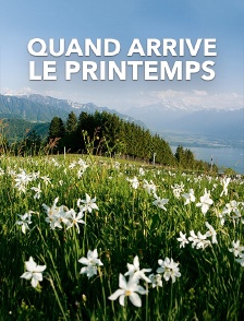 Quand arrive le printemps
