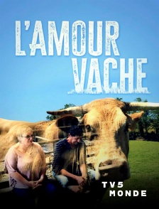 TV5MONDE - L'amour vache