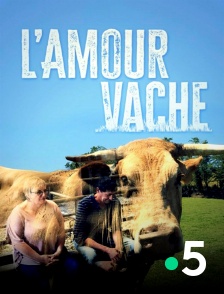 France 5 - L'amour vache