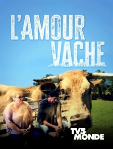 TV5MONDE - L'amour vache