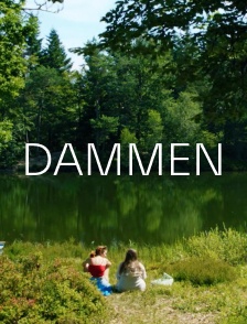 Dammen