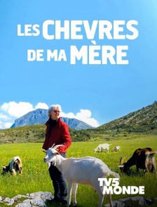 TV5MONDE - Les chèvres de ma mère