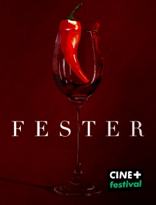CINE+ Festival - FESTER