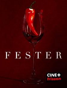 CINE+ Frisson - FESTER