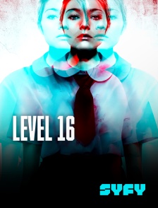 Level 16