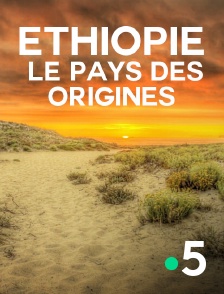 Ethiopie, le pays des origines