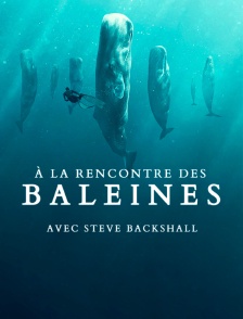 A la rencontre des baleines avec Steve Backshall