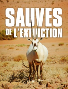 Sauvés de l'Extinction