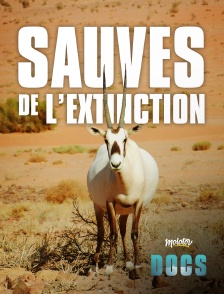 Sauvés de l'extinction