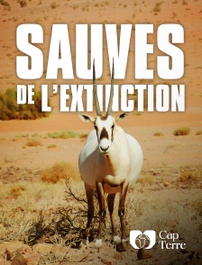 Cap Terre - Sauvés de l'extinction