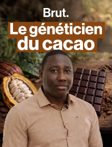Ce généticien essaie de décarboner la filière cacao en Guyane