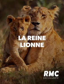 La reine lionne