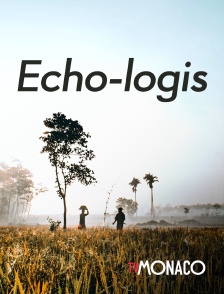 TV Monaco - Echo-logis