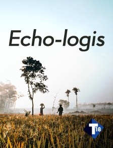 T18 - Echo-logis