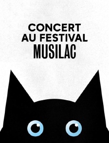 Concert au Festival Musilac